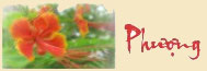 Bạch Phượng