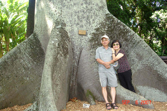 Hoàng Gia Thuỵ