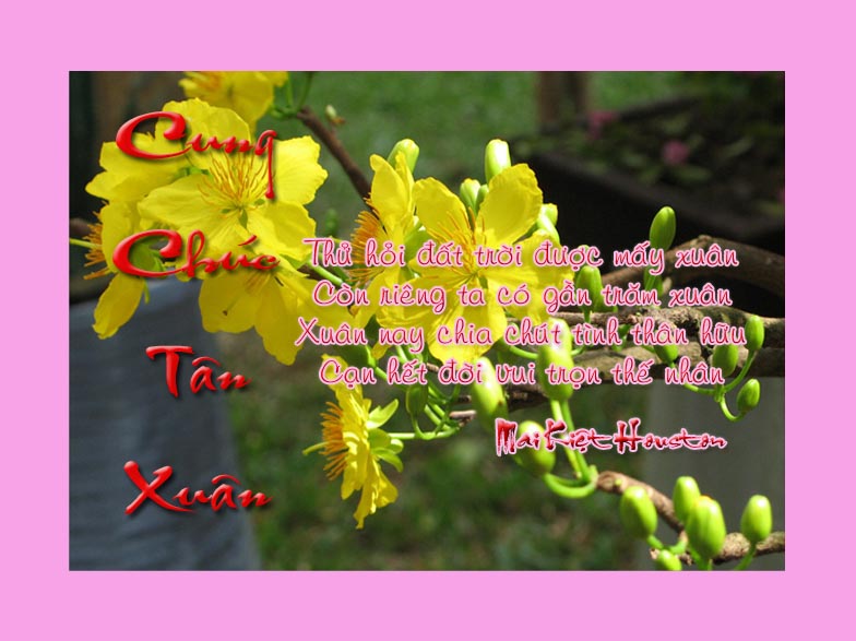 Tho Mai Kiệt