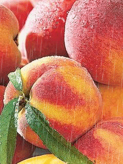 Les pêches GIF - Télécharger & Partager sur PHONEKY