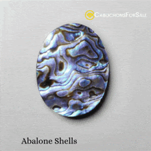 Abalone Shells For Sale Abalone Shell Gemstone GIF - Abalone Shells For  Sale Abalone Shell Gemstone Abalone Shells meaning - Discover & Share GIFs