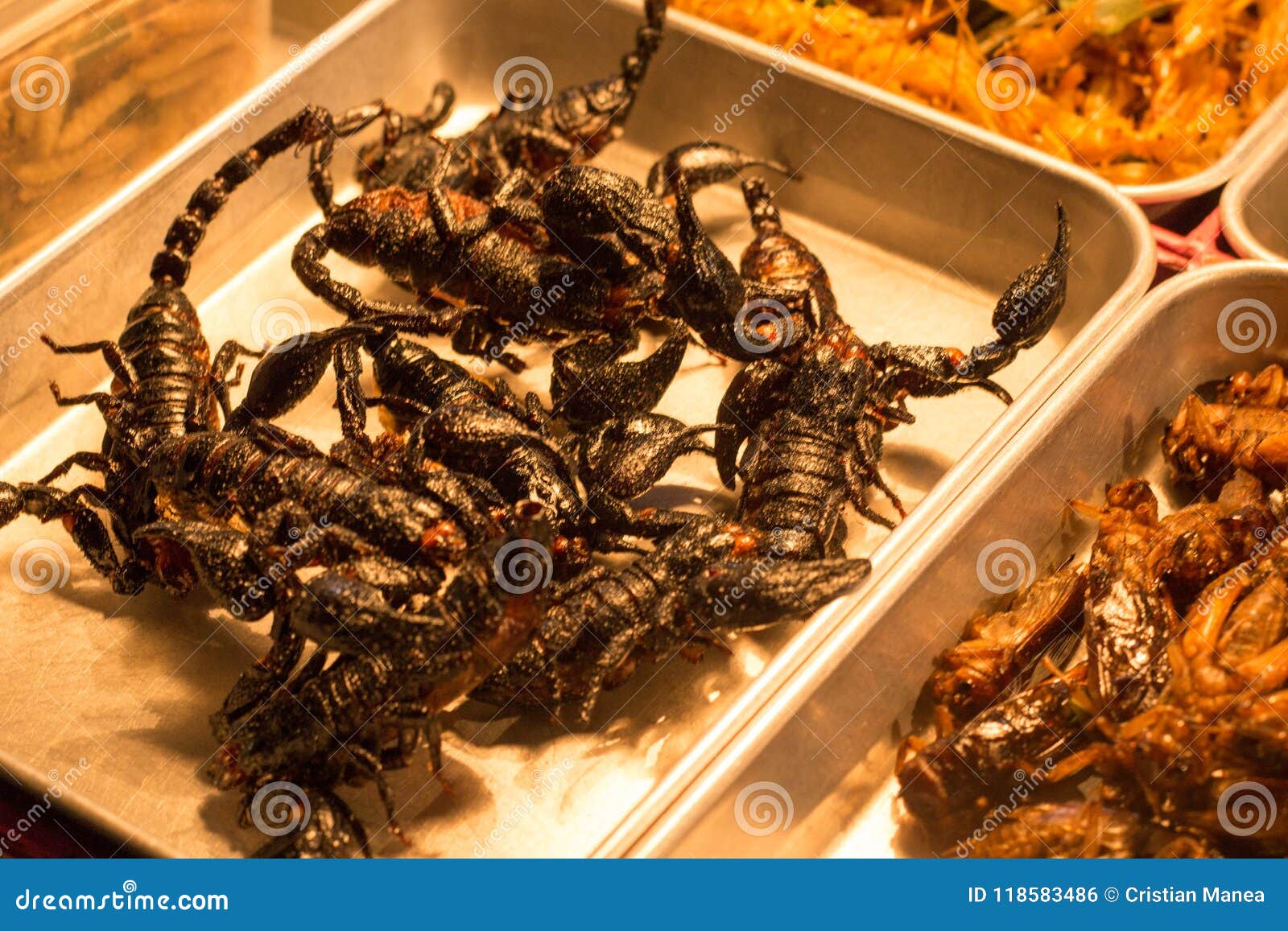 https://thumbs.dreamstime.com/z/corpions-snack-insects-street-market-bangkok-thailand-photo-taken-november-fried-scorpions-snack-insects-118583486.jpg